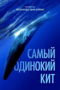 Самый одинокий кит на планете: в поисках Пятидесятидвухгерцового кита 