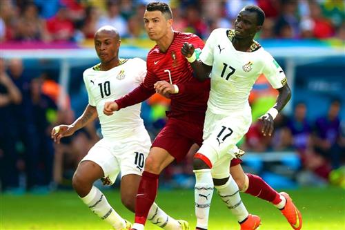 What is Sporting Bet? Guide for Homeowners